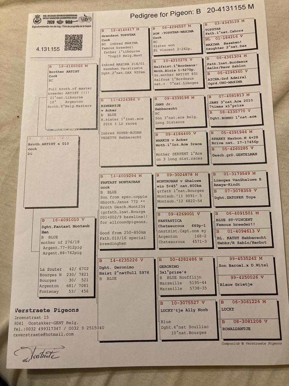 WhatsAppova datoteka Slika, 2025-10-30 ob 19.38.51_0b54d44f.jpg