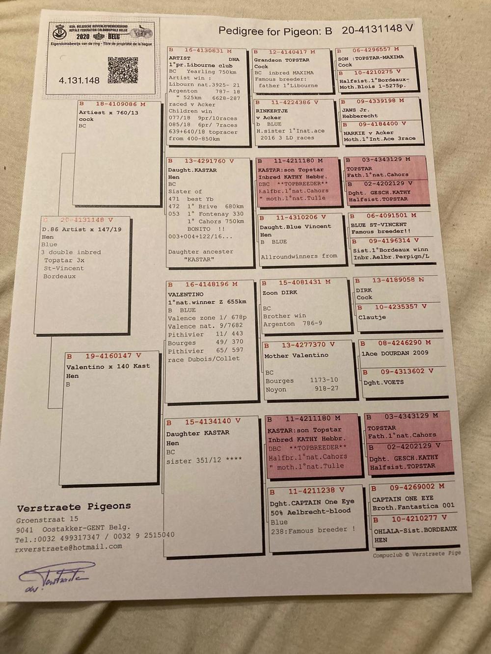 WhatsAppova datoteka Slika, 2025-10-30 ob 19.37.32_9af3e6f3.jpg