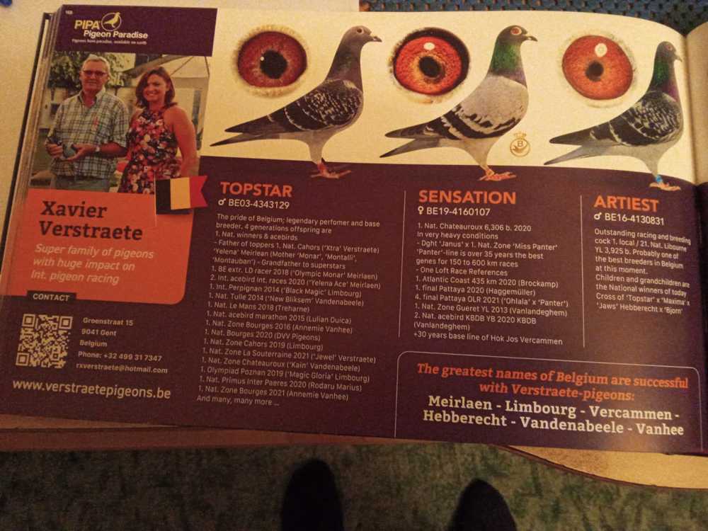 WhatsAppova datoteka Slika, 2025-10-30 ob 19.49.17_1e7629eb.jpg