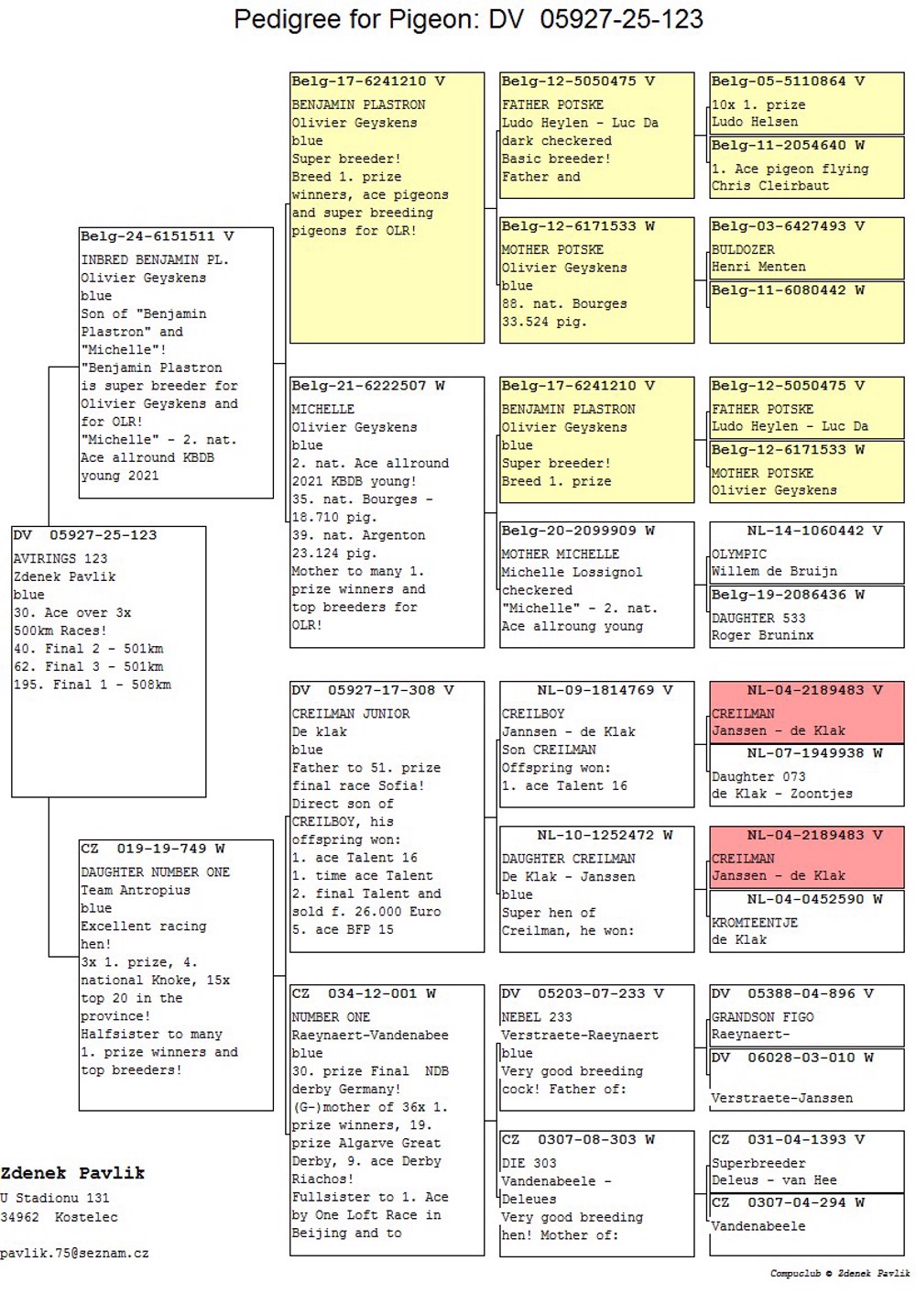 AVIRINGS DV 05927-25-123.jpg