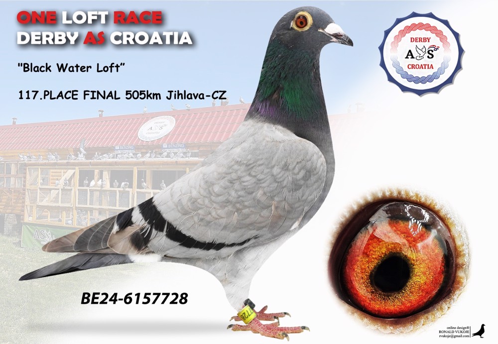 BE24-6157728 belgier be.jpg