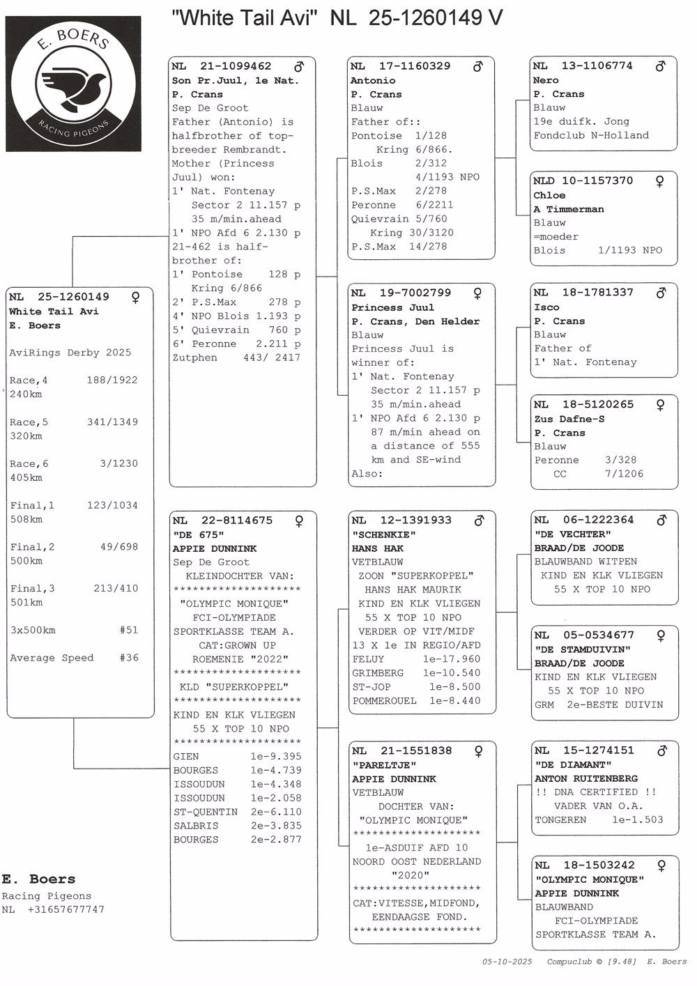 White Tail Avi 149.jpg
