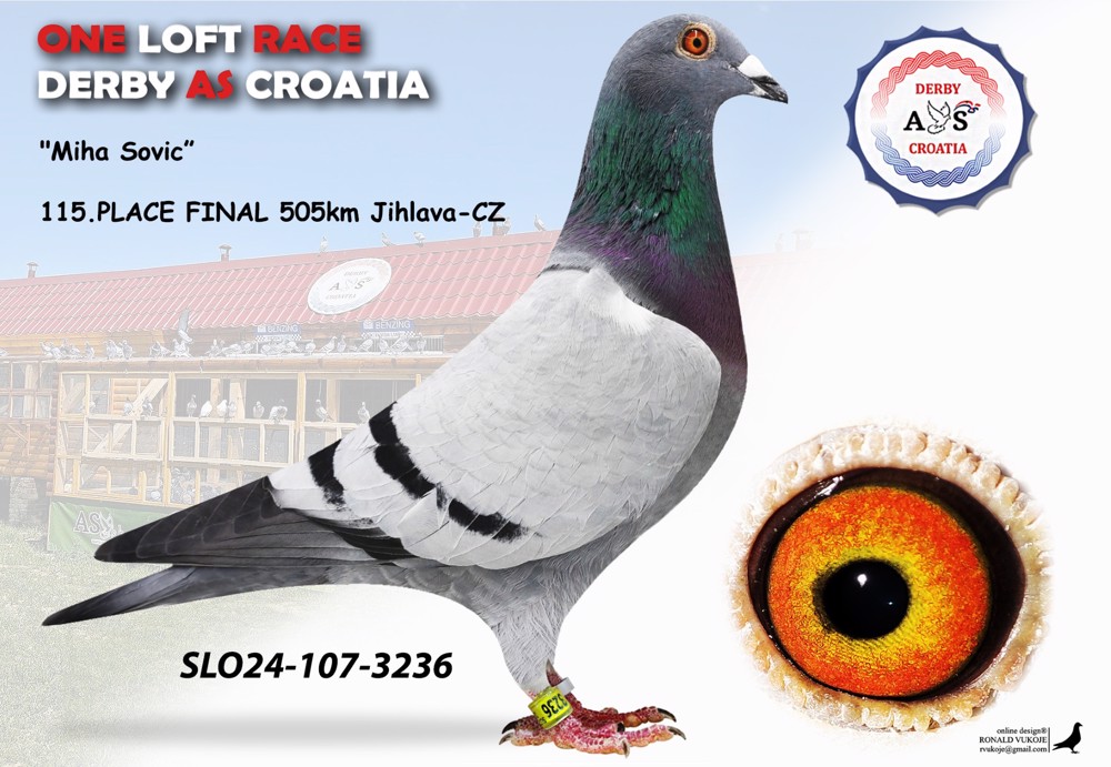 thumbnail_SLO24-107-3236 Blau Sovic V.jpg