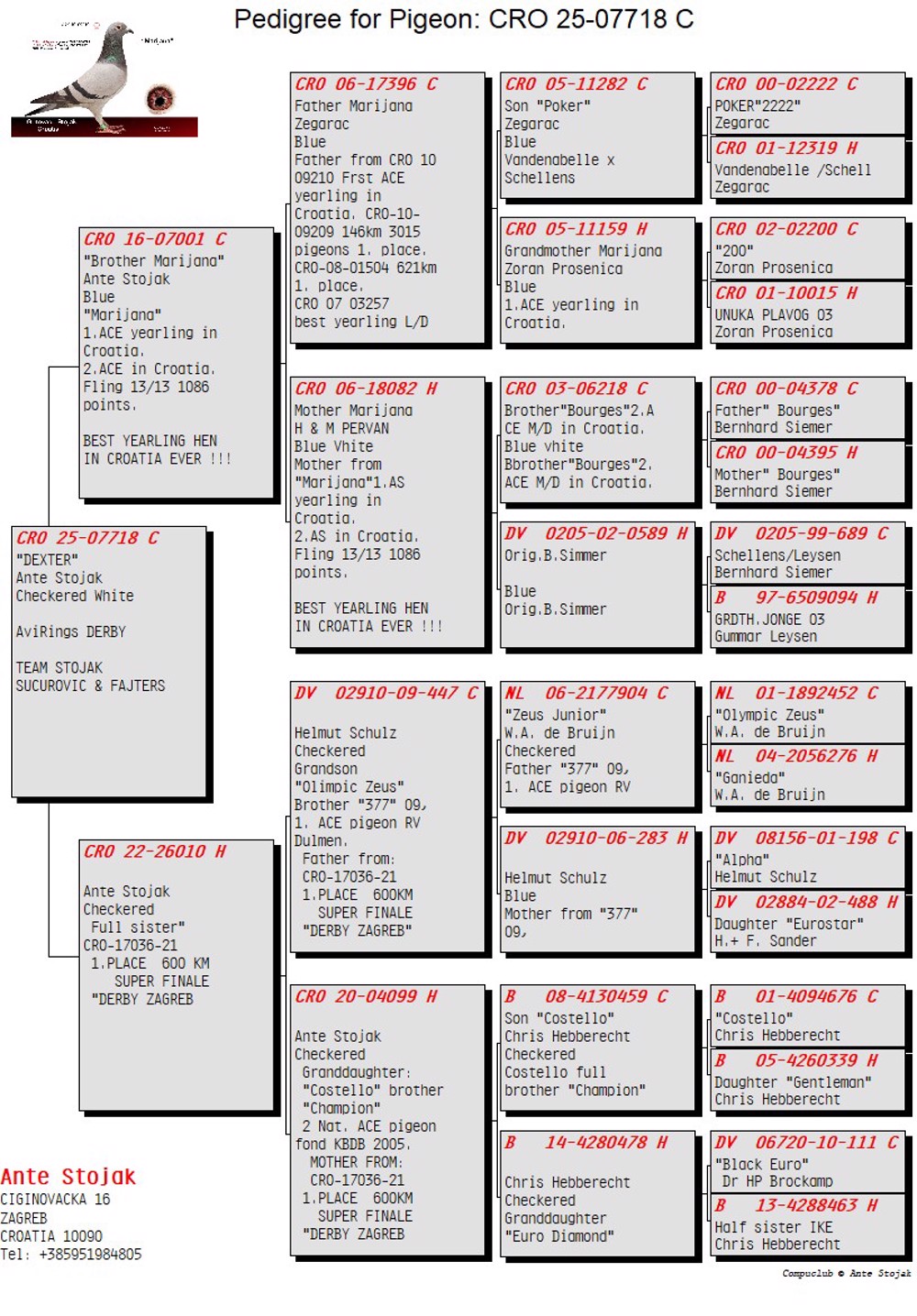 CRO-07718-25 (1).jpg