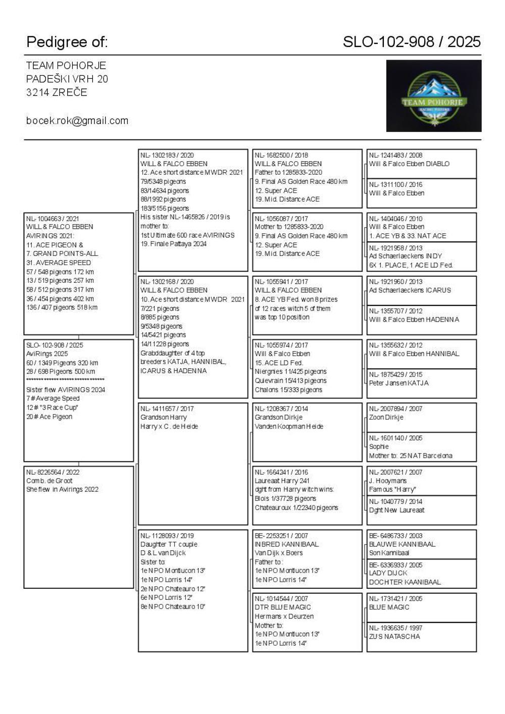 Pigeon summary image