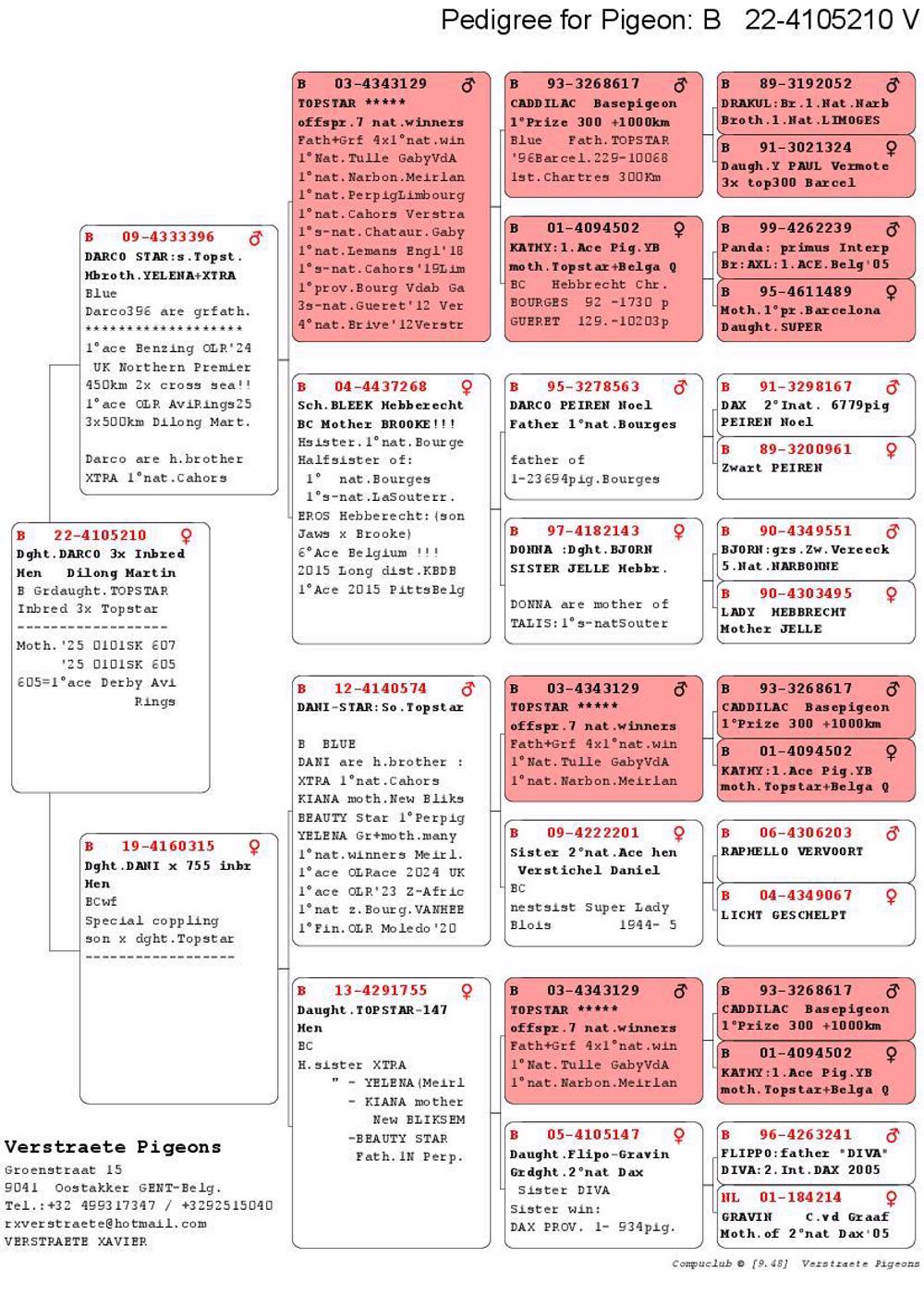 Pigeon summary image