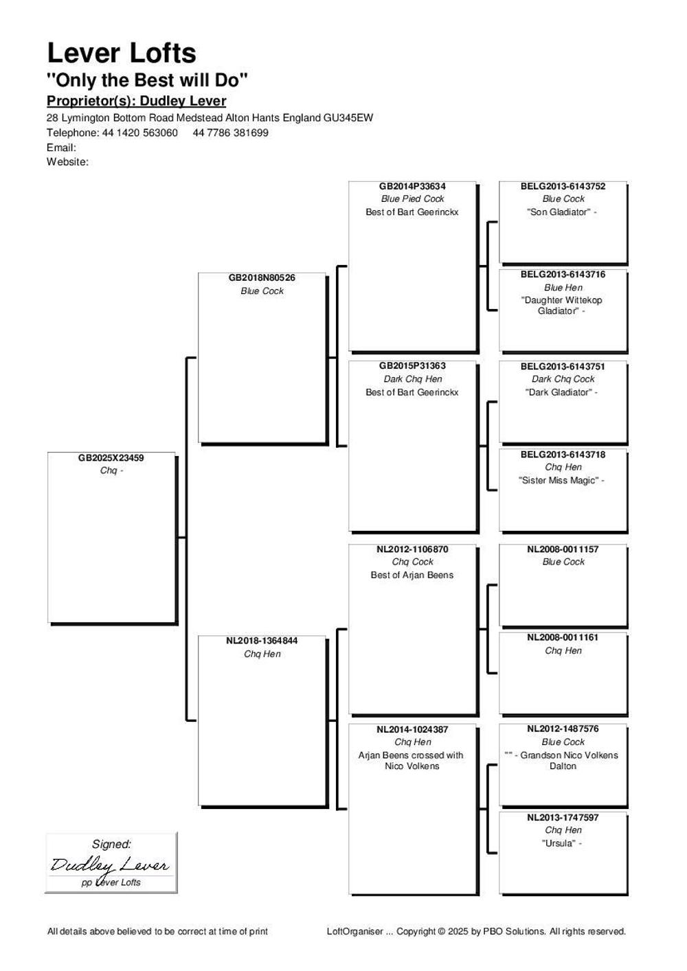 Pigeon summary image