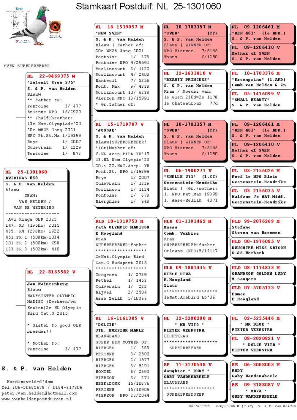 Pigeon summary image