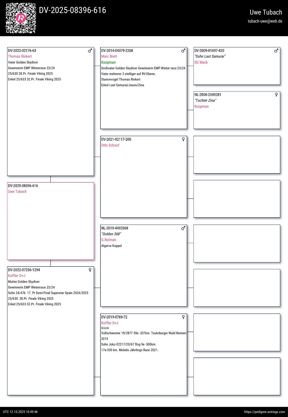 Pigeon summary image