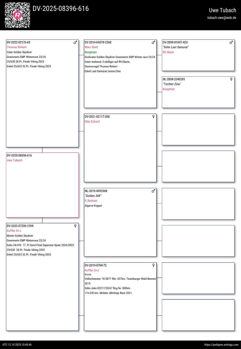 Pigeon summary image