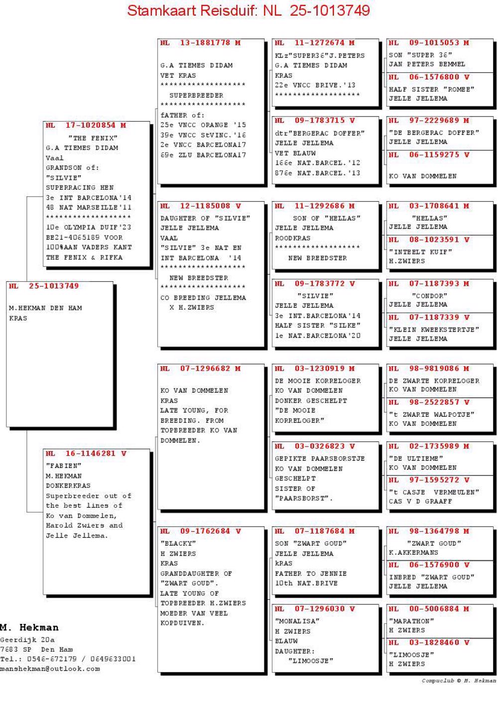 Pigeon summary image