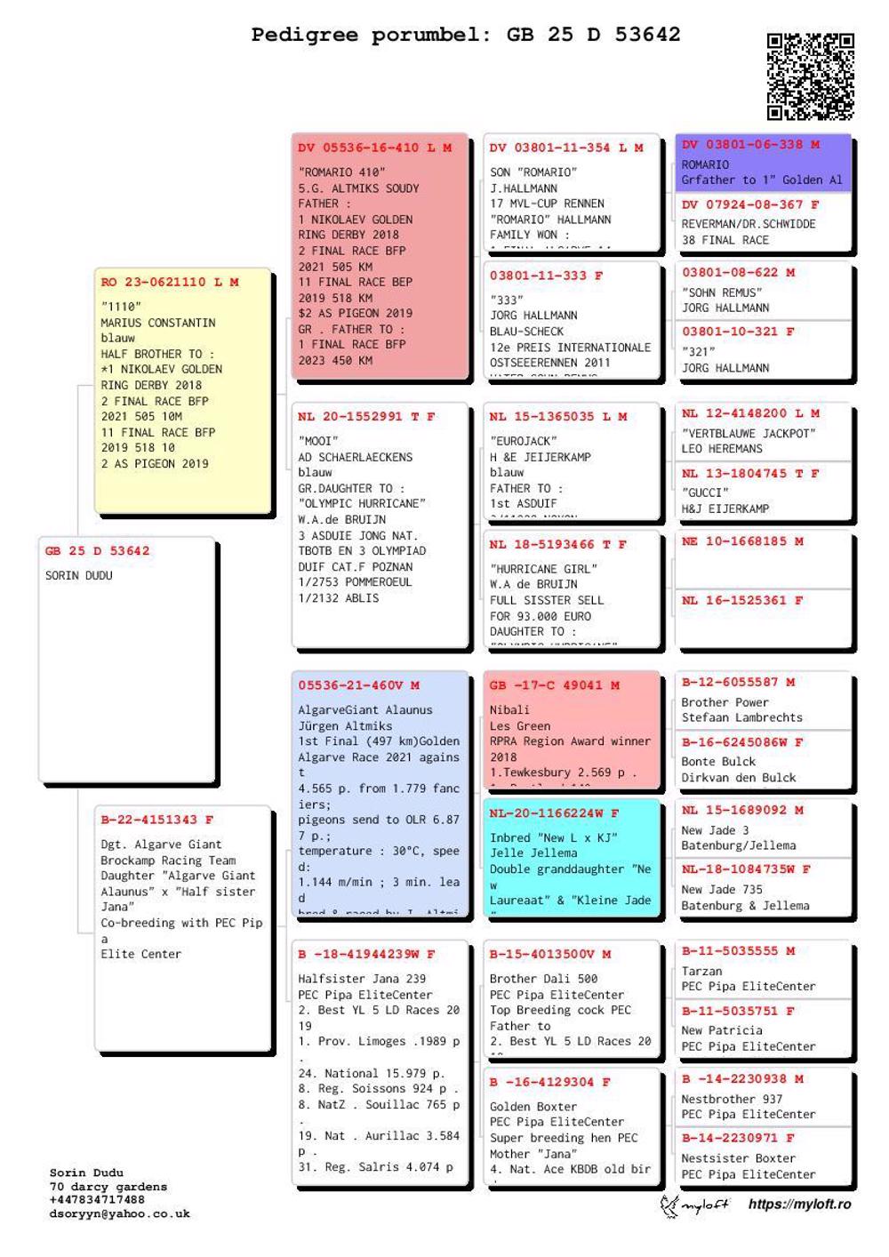 Pigeon summary image