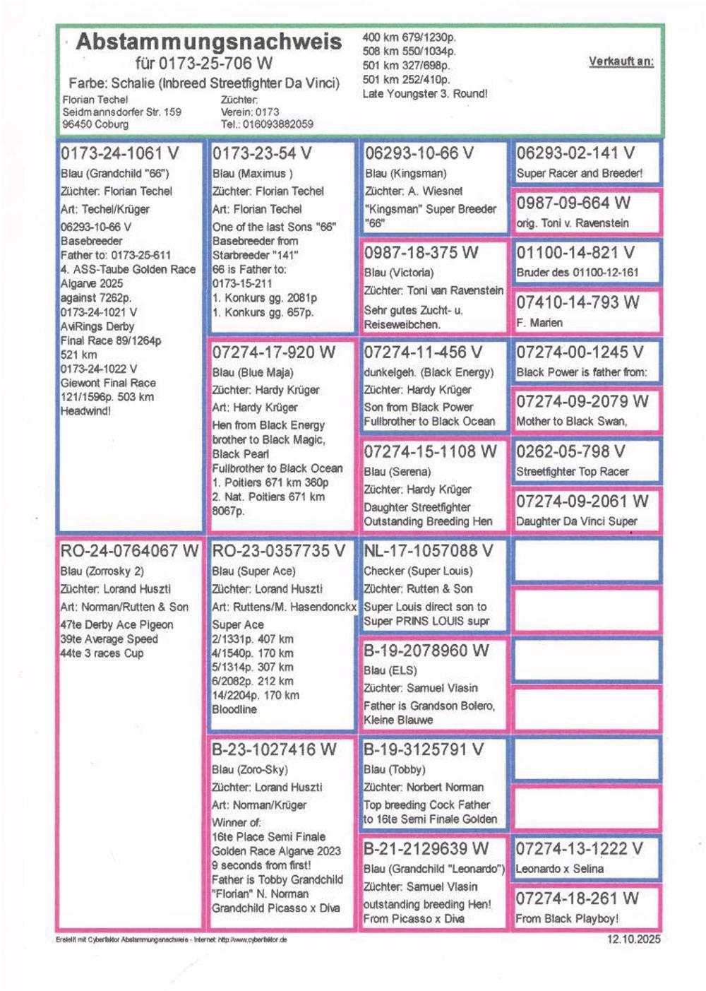 Pigeon summary image