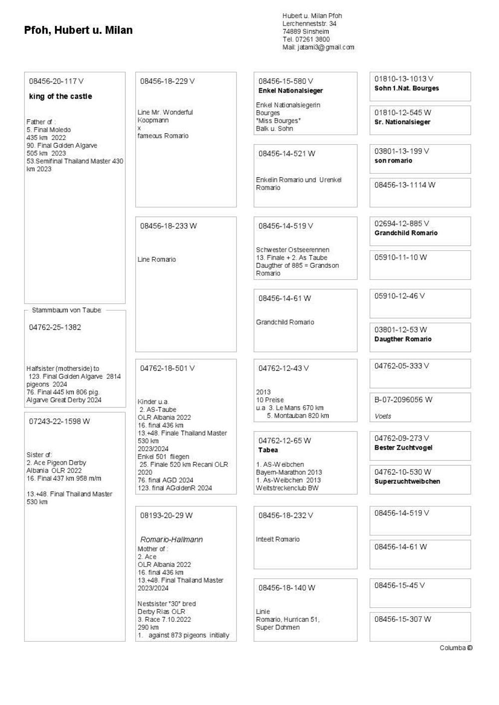 Pigeon summary image
