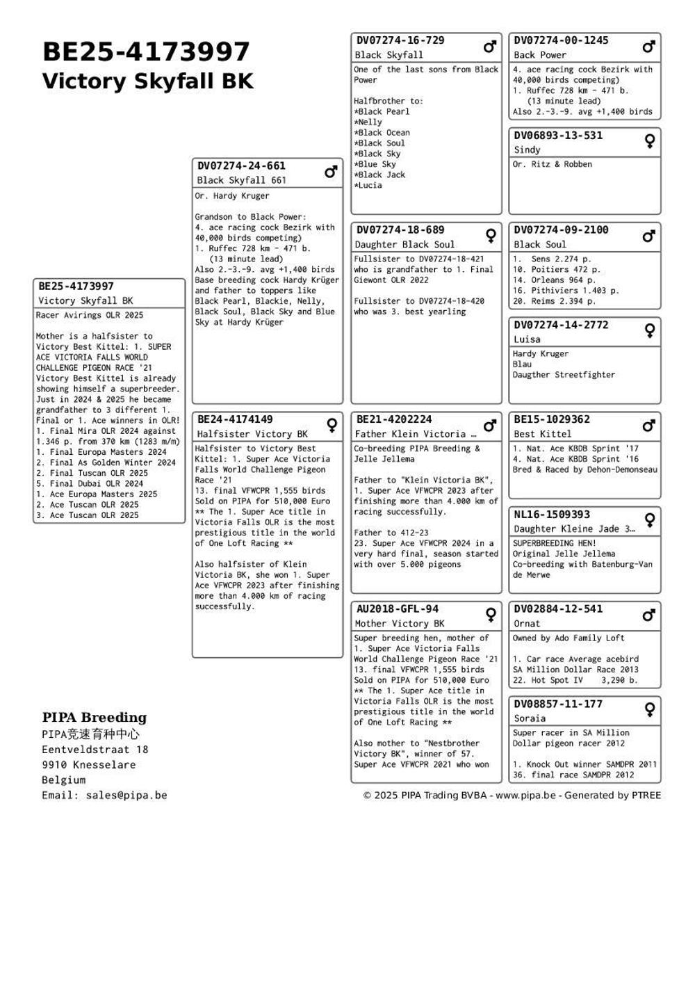 Pigeon summary image