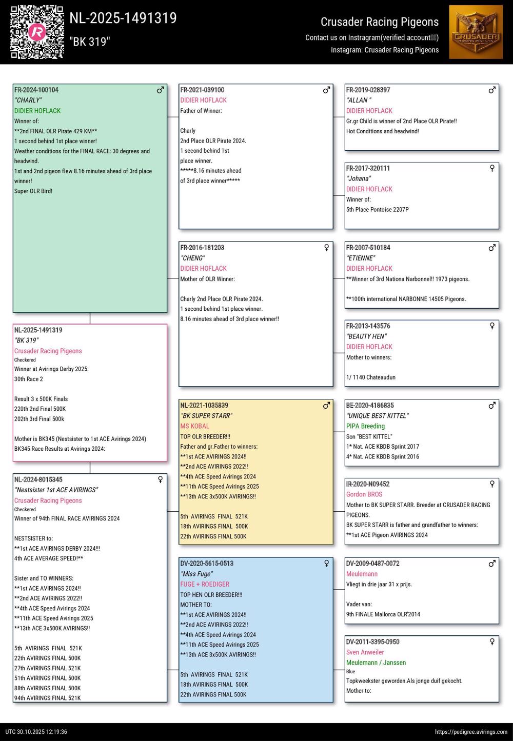 Pigeon summary image