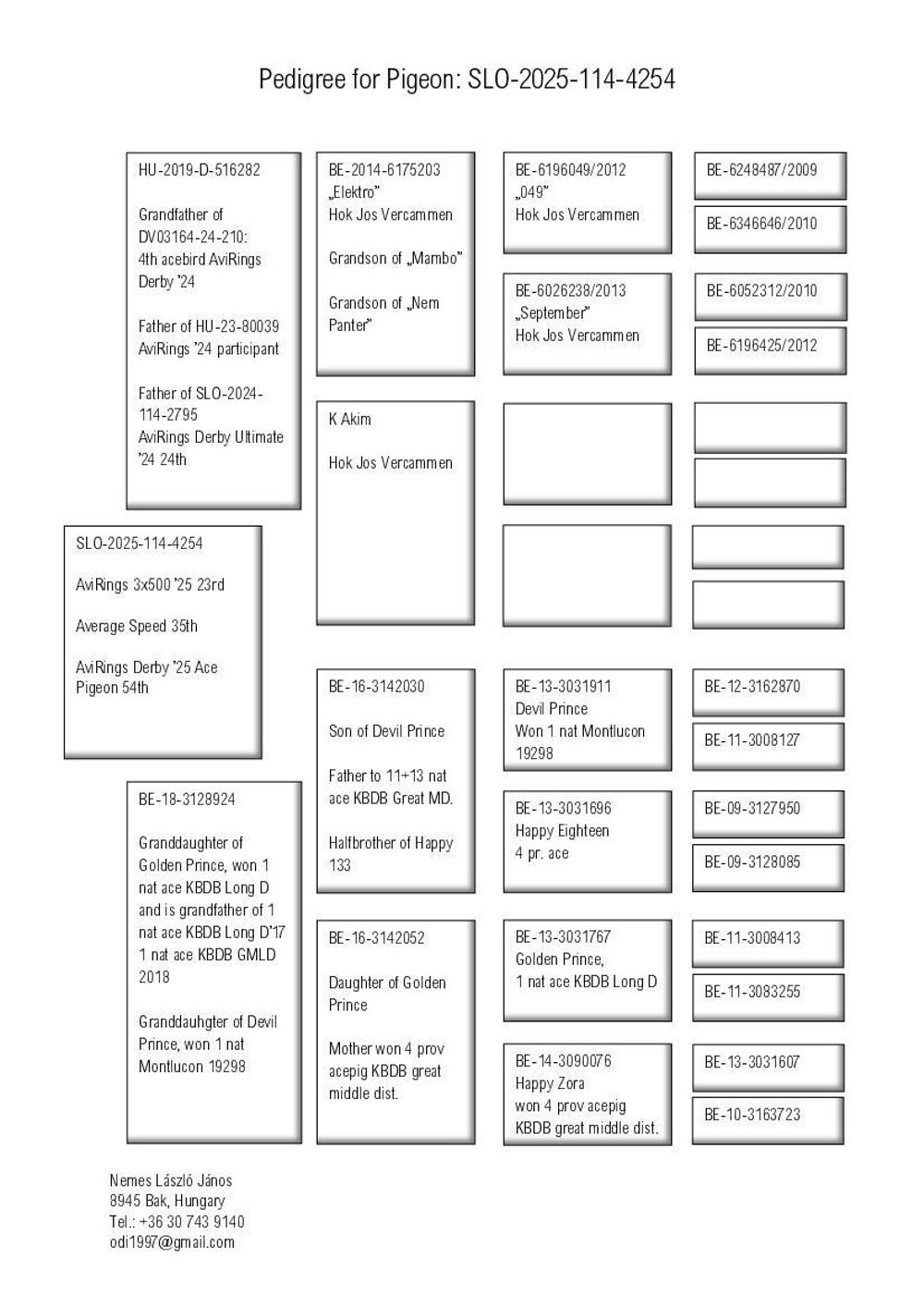 Pigeon summary image