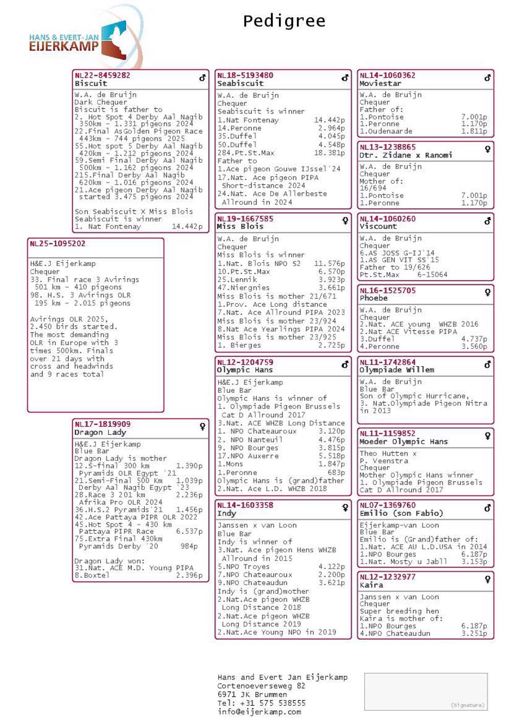 Pigeon summary image