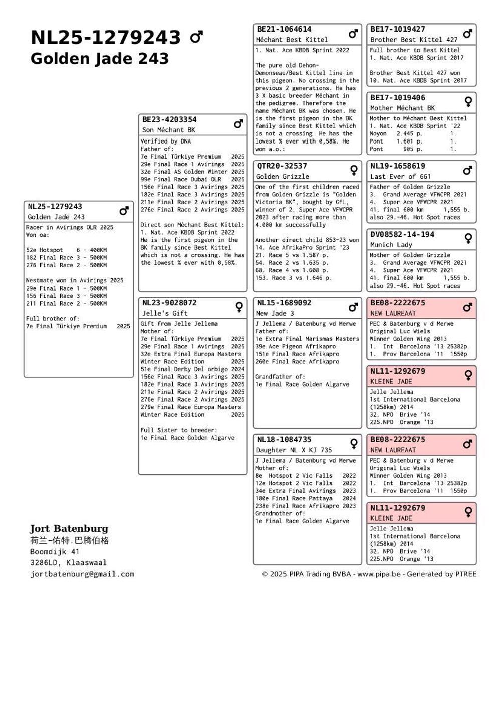 Pigeon summary image