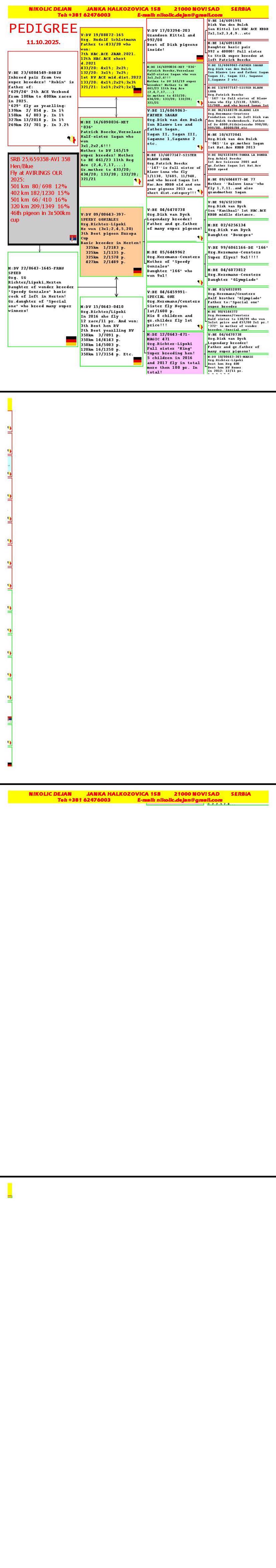 Pigeon summary image