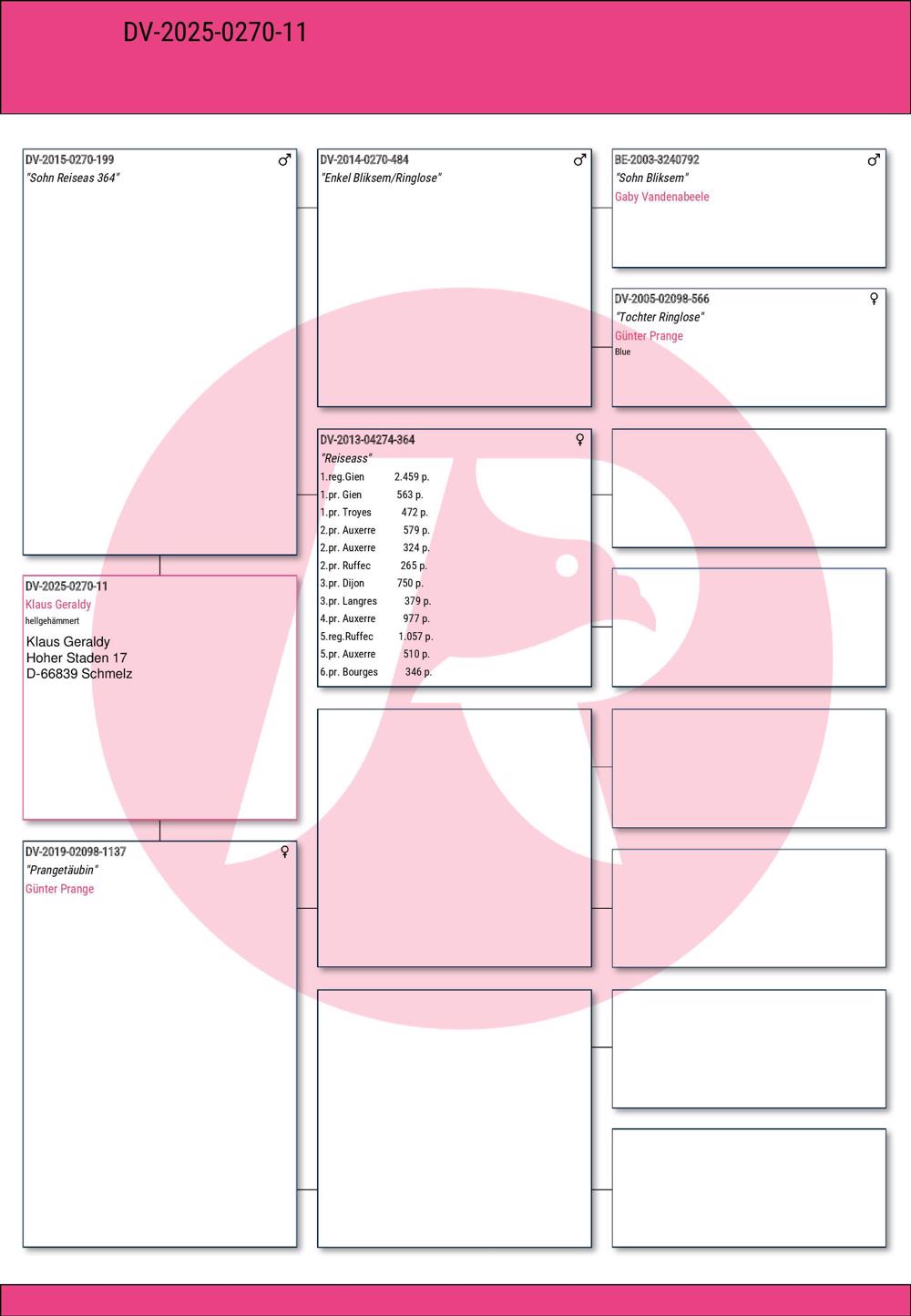 Pigeon summary image