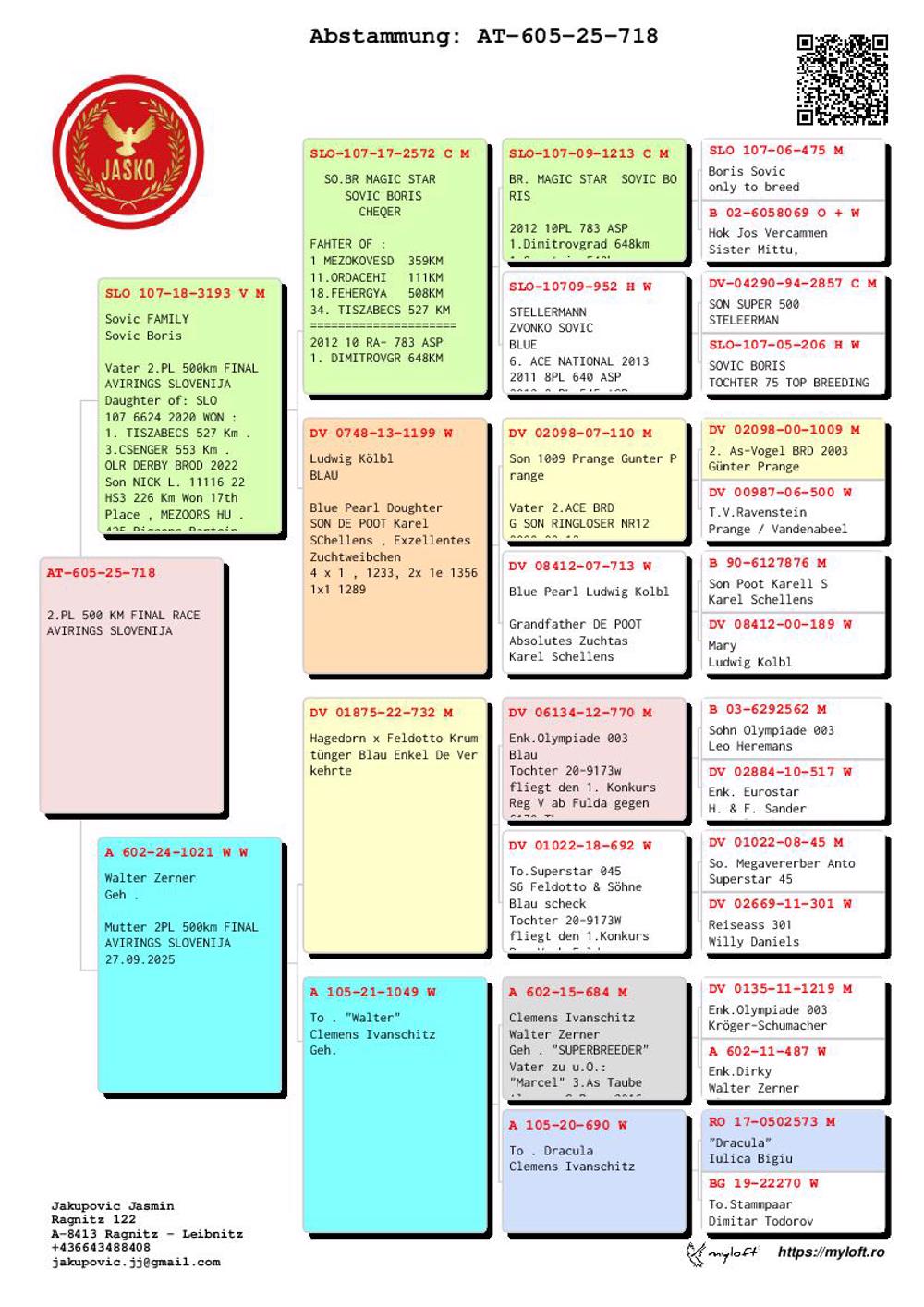 Pigeon summary image