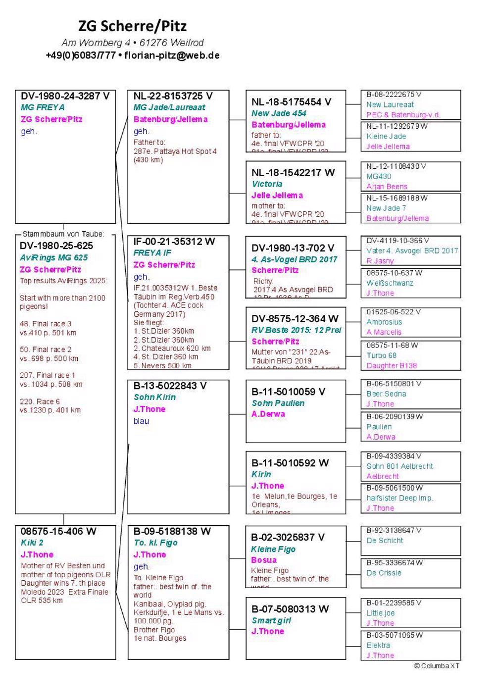 Pigeon summary image