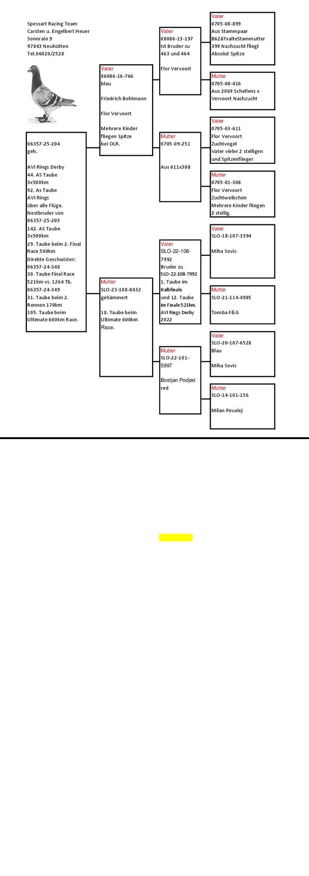 Pigeon summary image