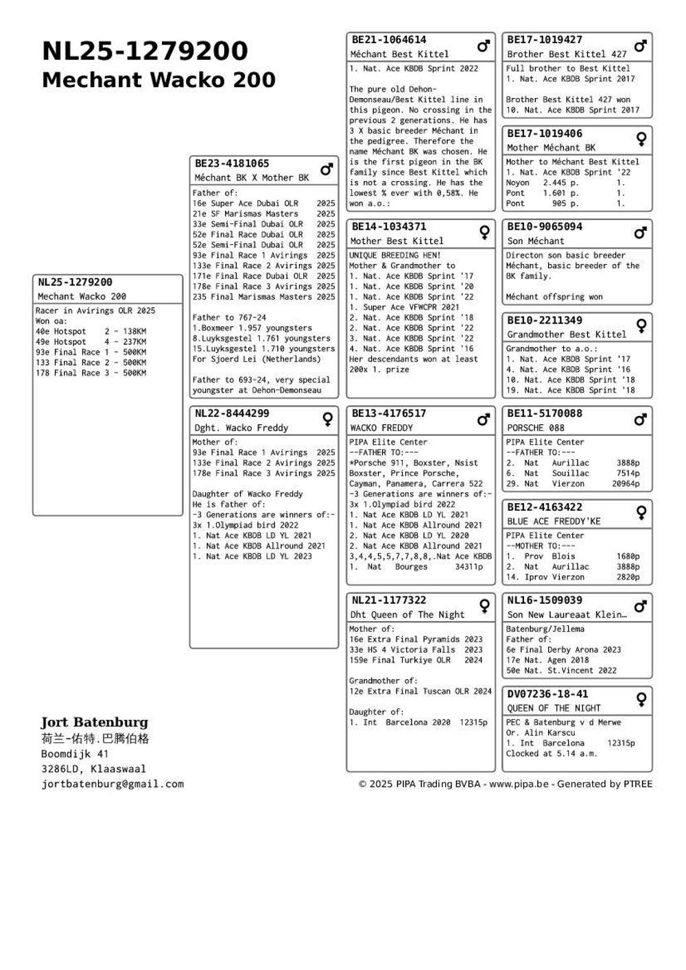 Pigeon summary image