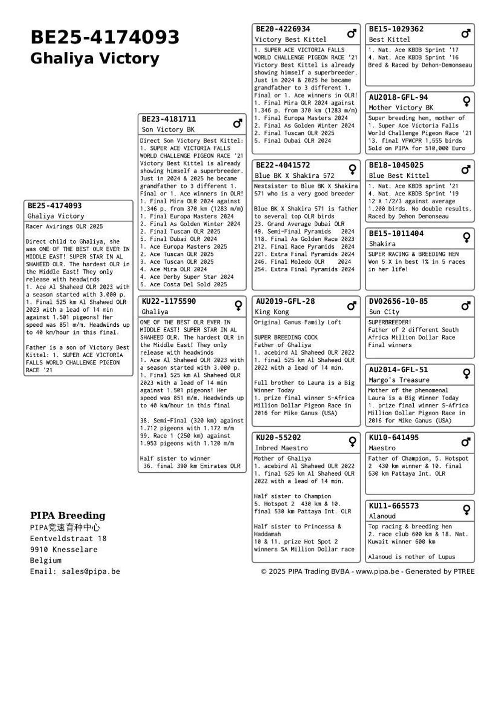 Pigeon summary image