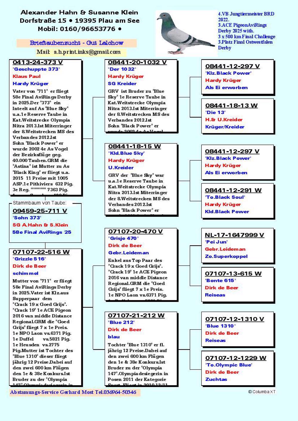 Pigeon summary image