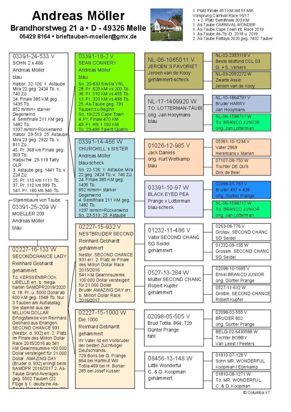 Pigeon summary image