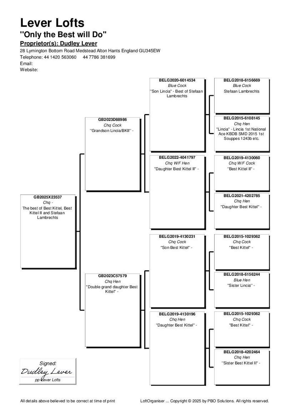 Pigeon summary image