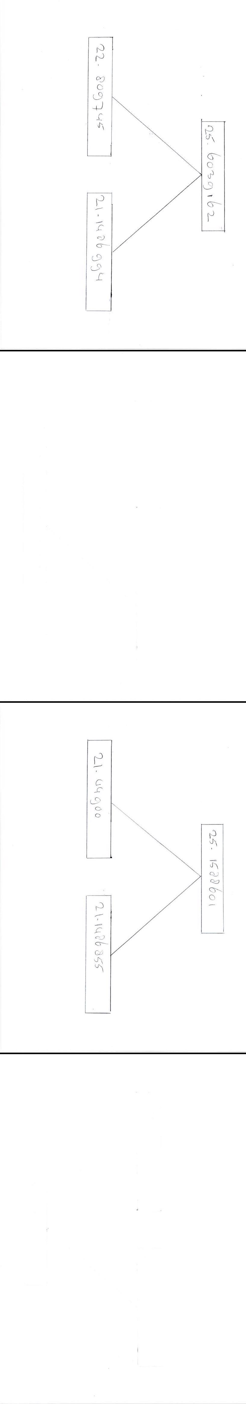 Pigeon summary image