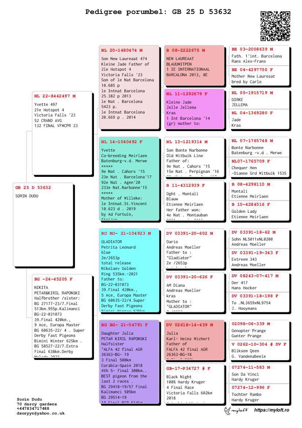 Pigeon summary image