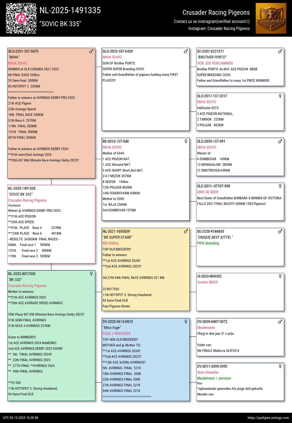 Pigeon summary image