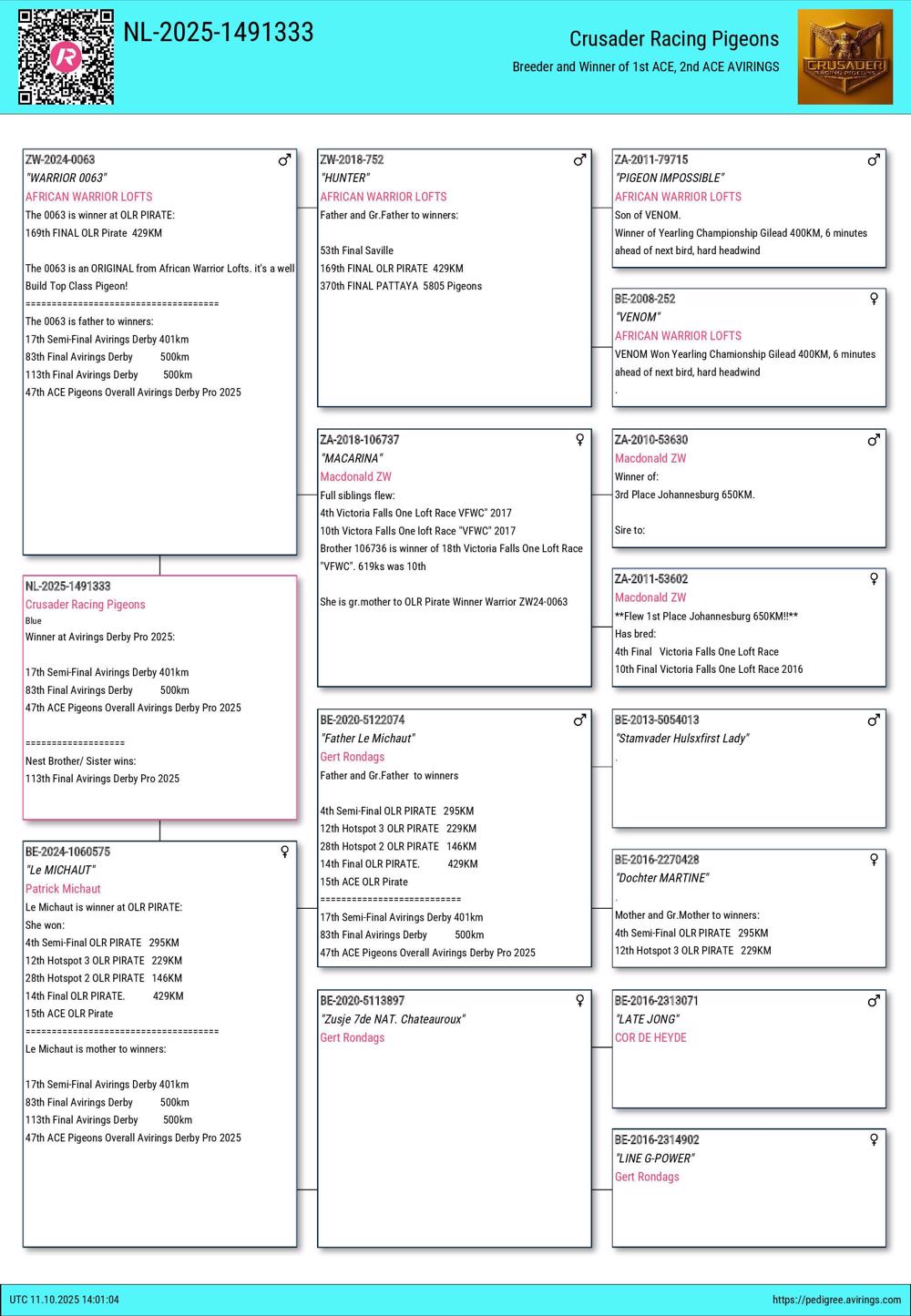 Pigeon summary image