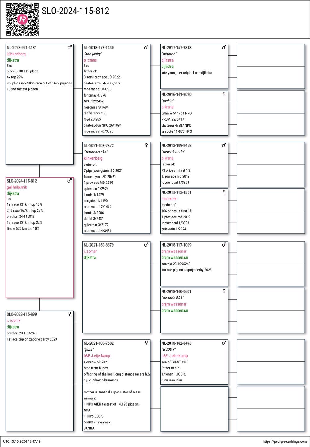 Pigeon summary image
