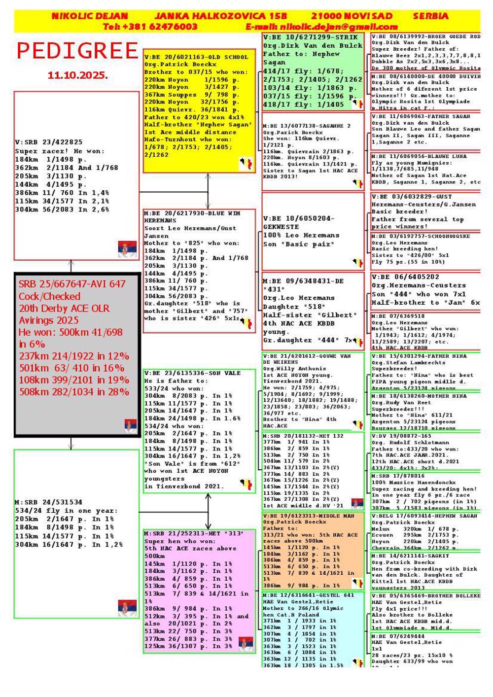 Pigeon summary image