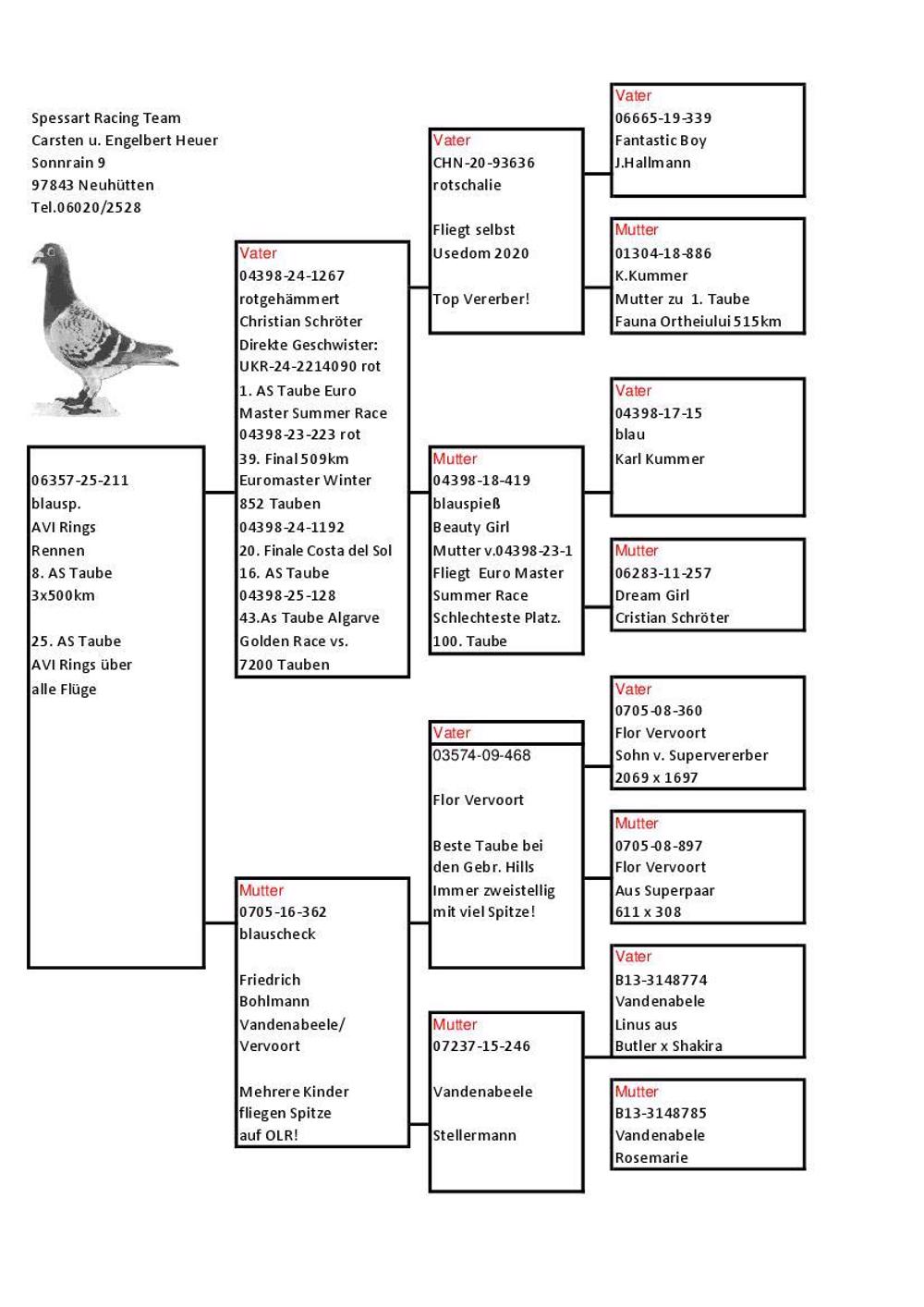 Pigeon summary image