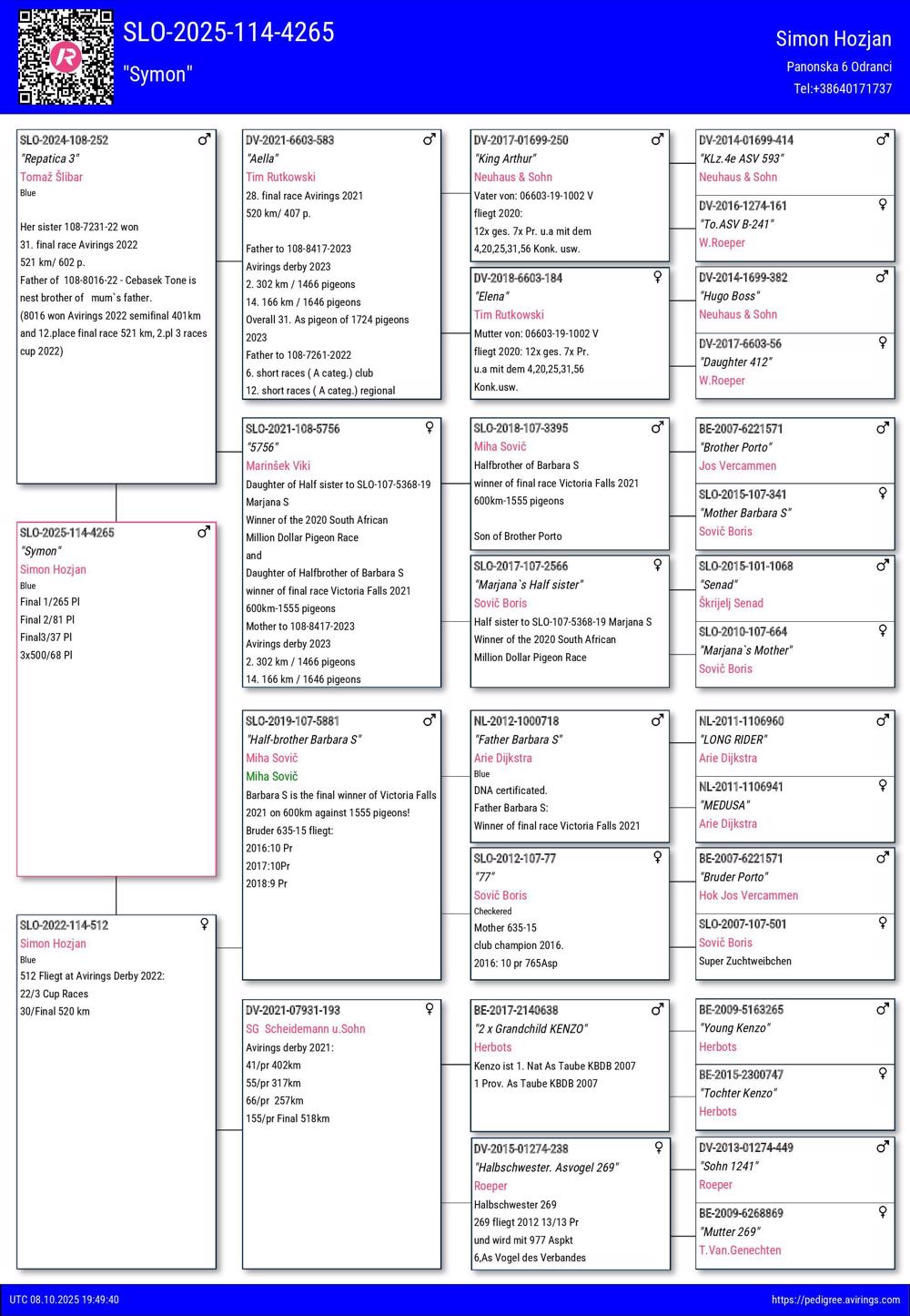 Pigeon summary image