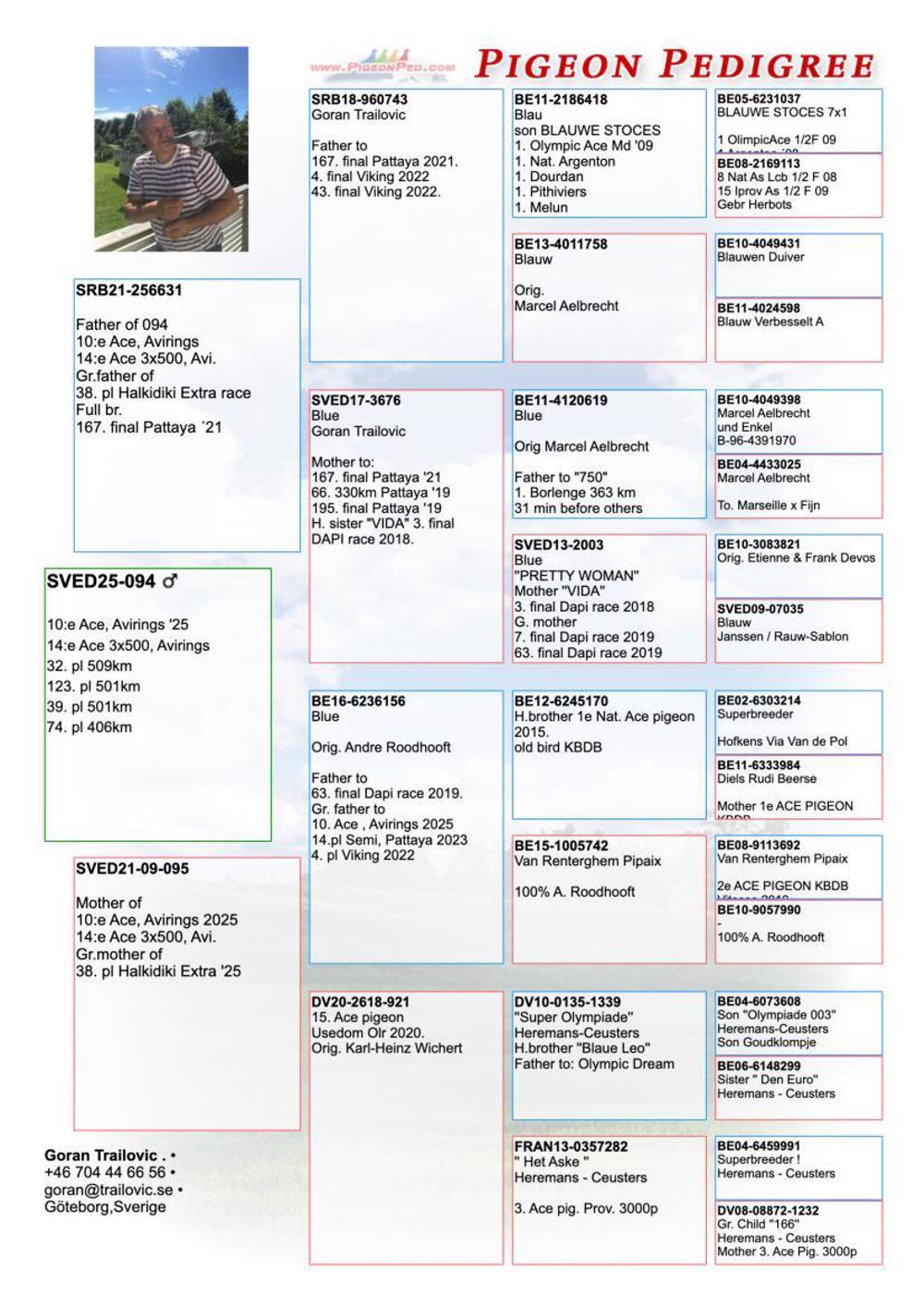 Pigeon summary image