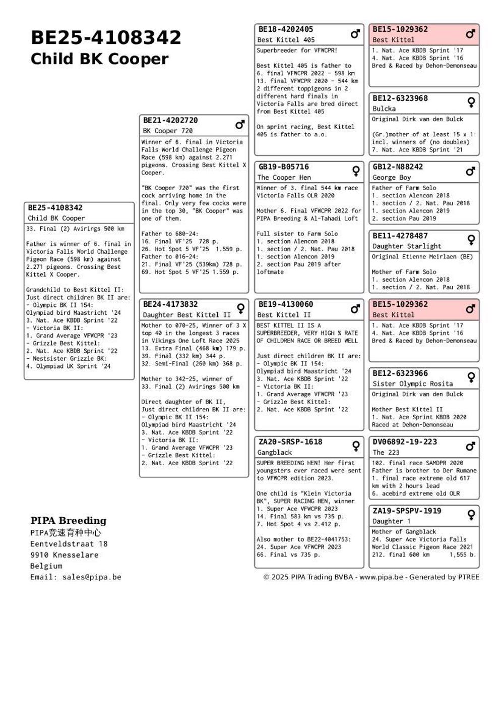 Pigeon summary image