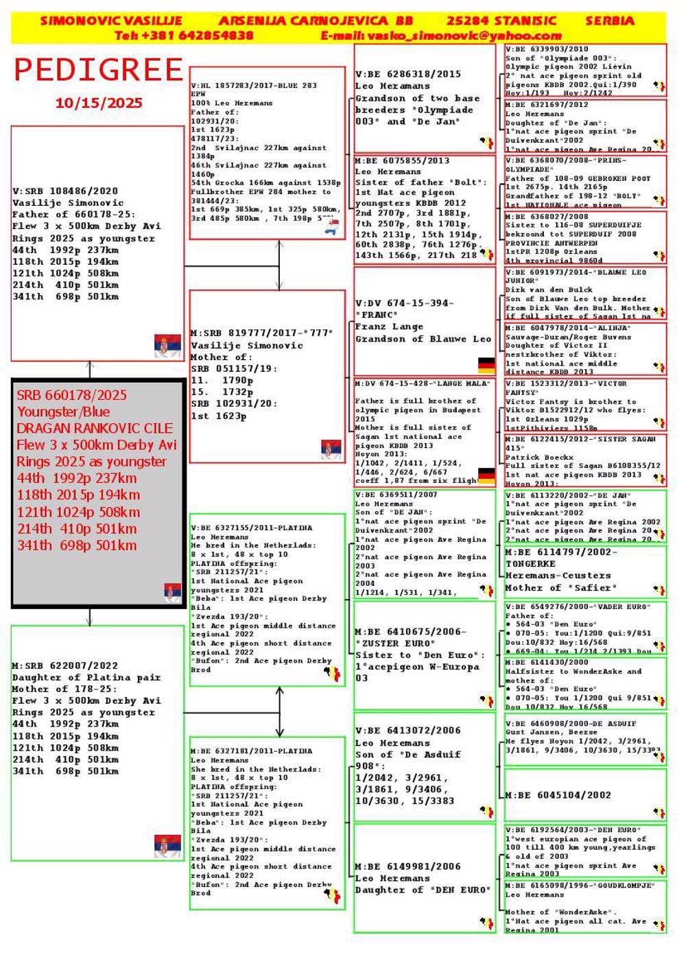 Pigeon summary image