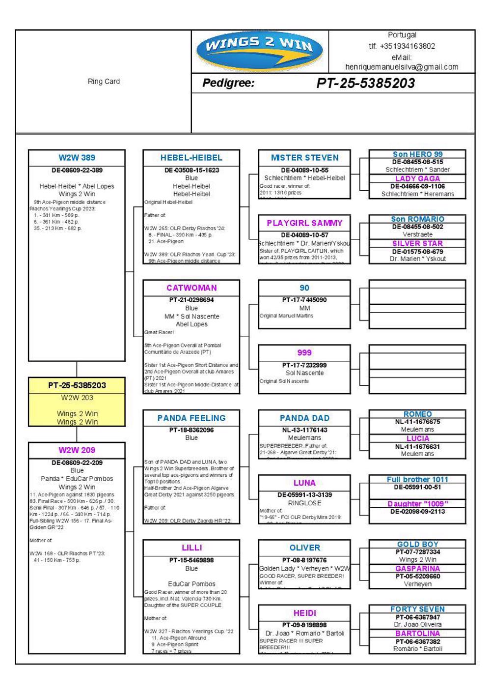 Pigeon summary image