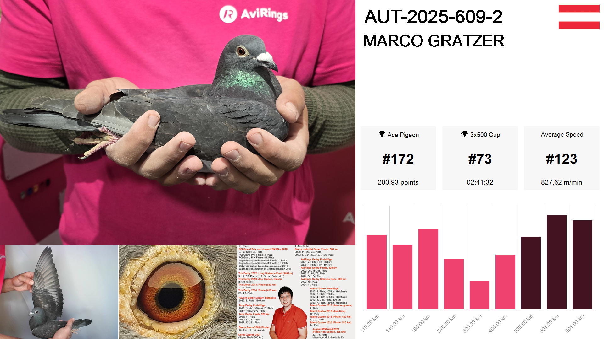 Pigeon summary image