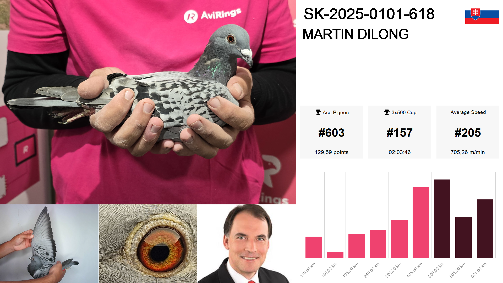 Pigeon summary image