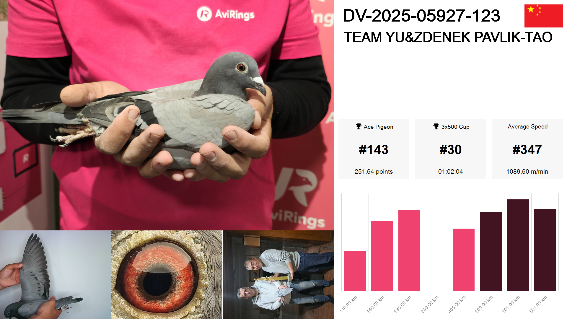 Pigeon summary image