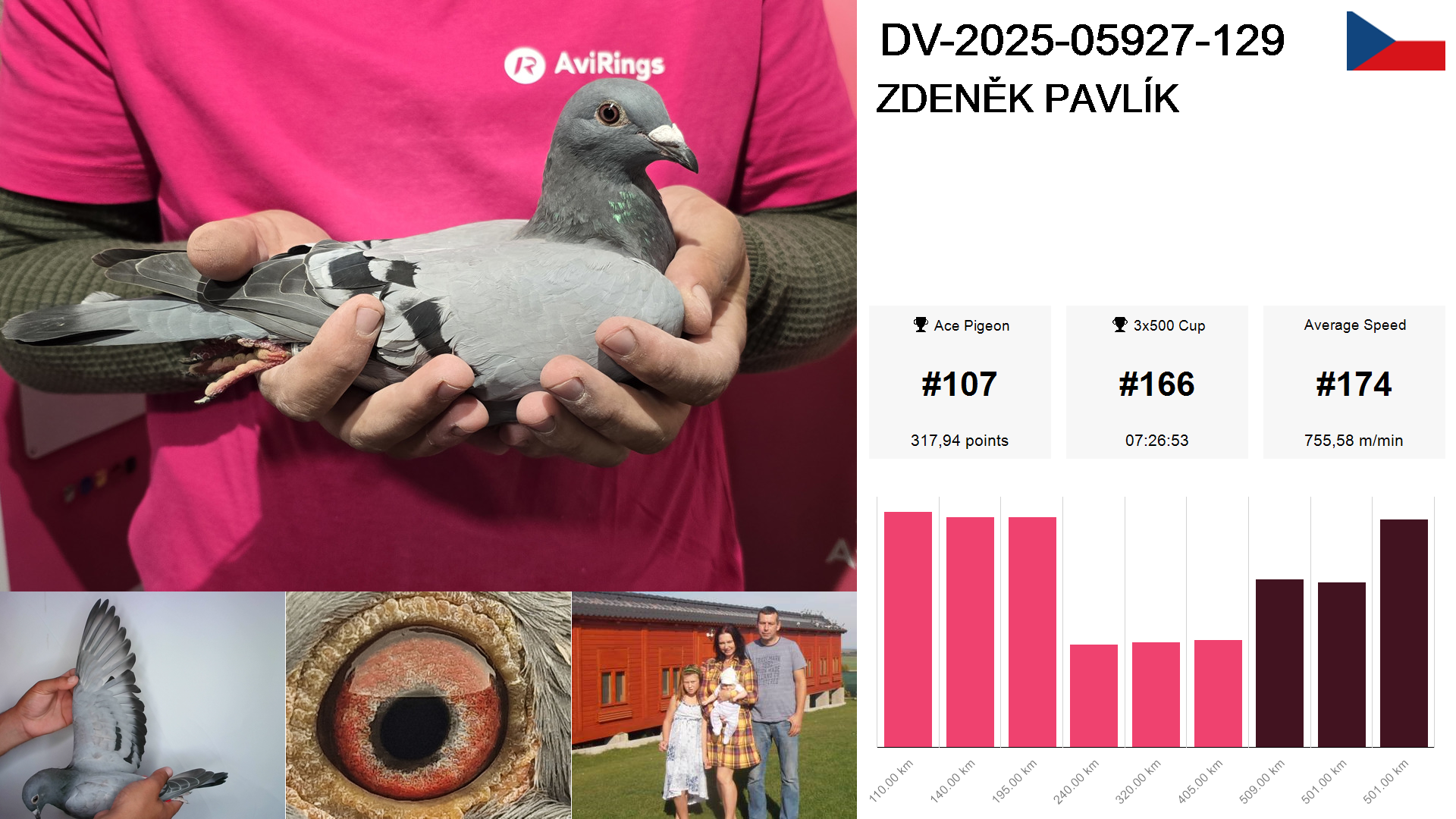 Pigeon summary image