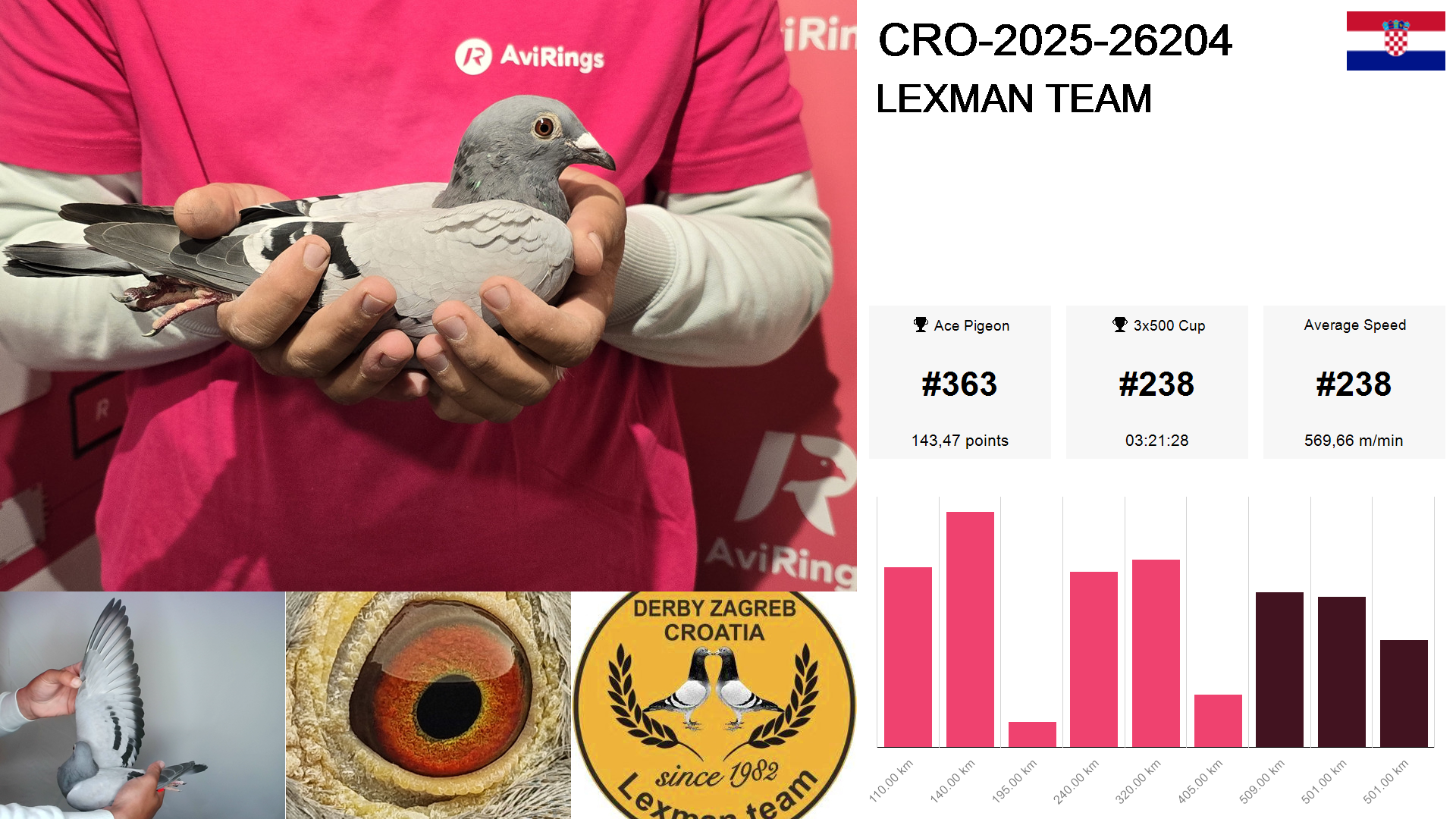 Pigeon summary image